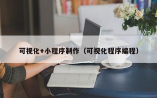 宁德可视化+小程序制作（可视化程序编程）